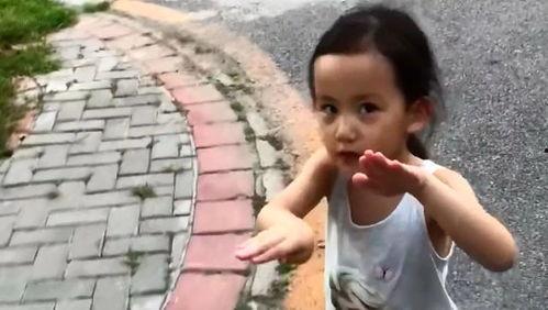 黄磊妹妹爆料了吗视频播放,揭秘娱乐圈背后真相 第3张 黄磊妹妹爆料了吗视频播放,揭秘娱乐圈背后真相 第3张